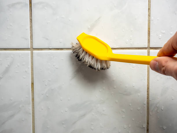Best Mold Testing and Inspection Services in Garden City Park, NY